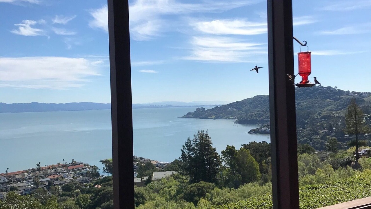 Photo of Others in Tiburon