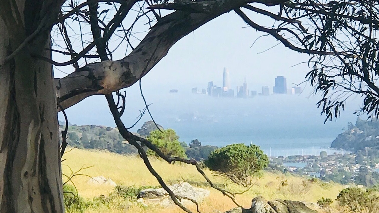 Photo of Outdoor in Tiburon