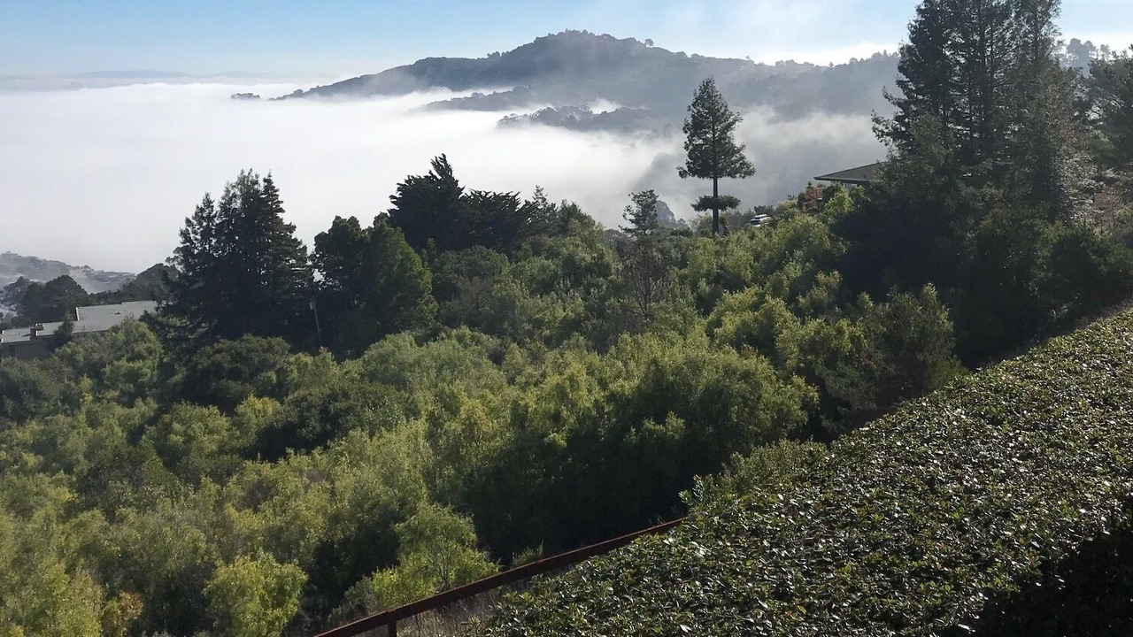 Photo of Outdoor in Tiburon