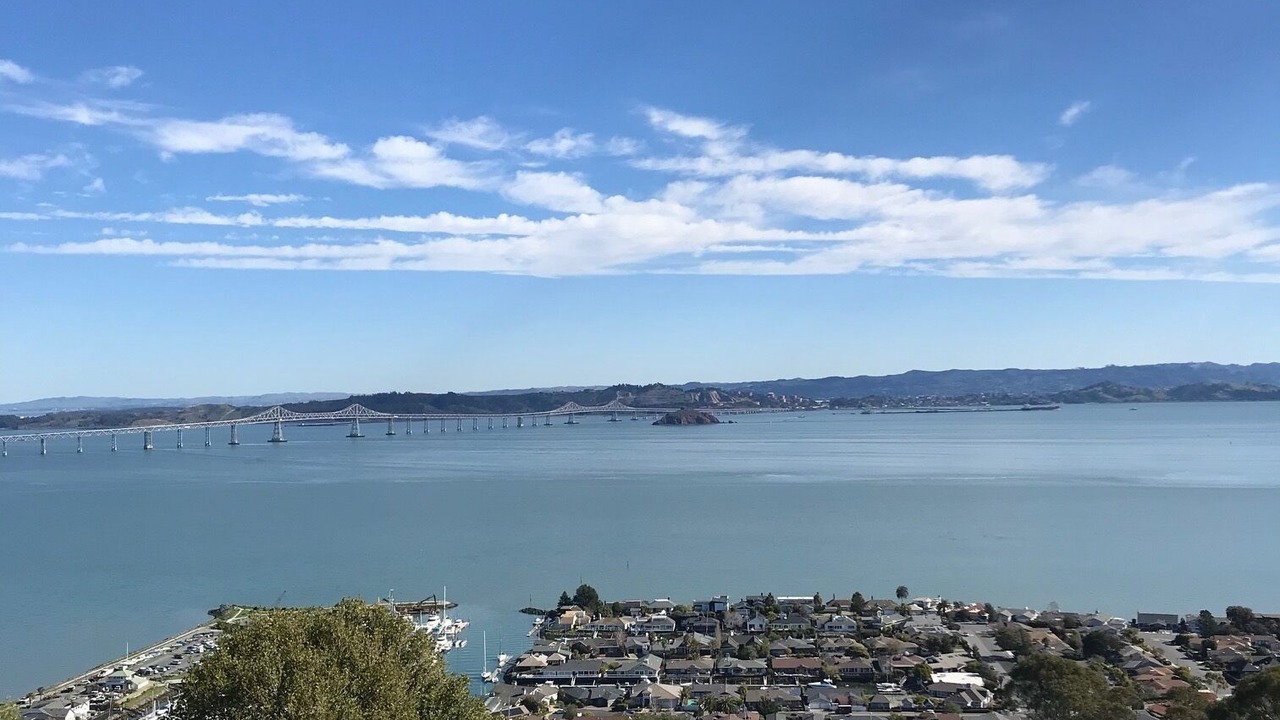 Photo of Others in Tiburon
