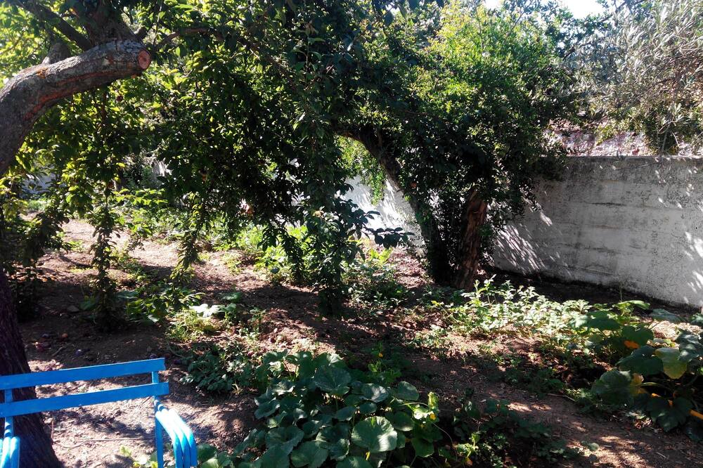 Photo of Outdoor in El Hoyo