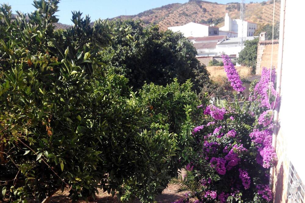 Photo of Outdoor in El Hoyo
