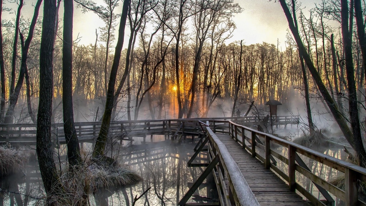 Photo of Outdoor in Tata
