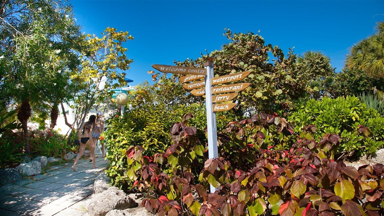 Photo of Outdoor in Smith's Point