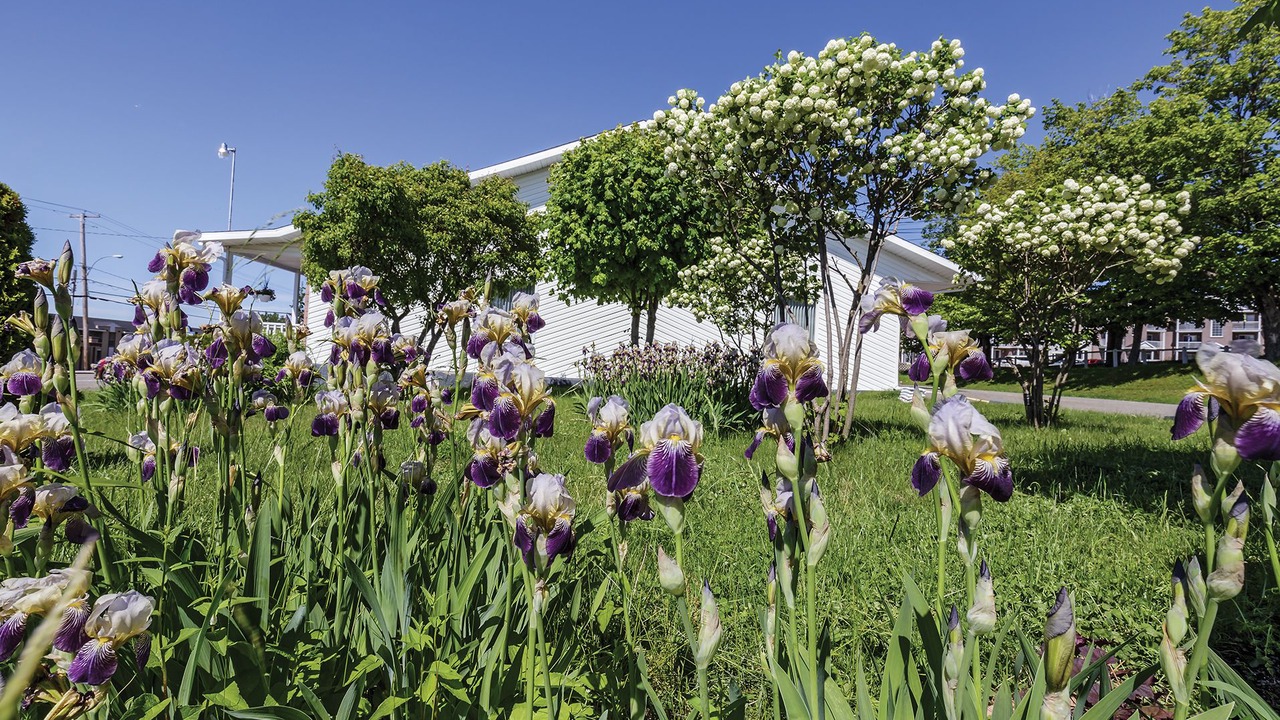 Photo of Outdoor in Riviere-du-Loup Regional County Municipality