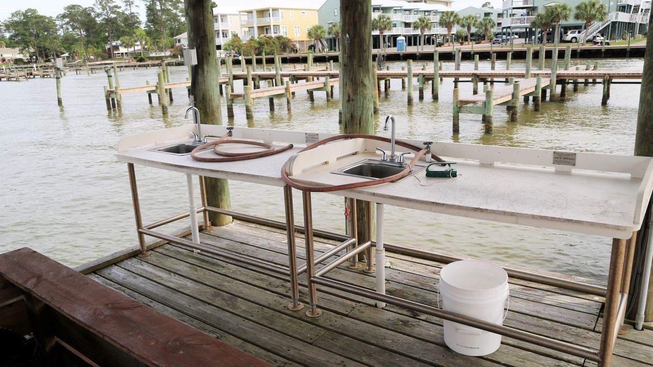 Photo of Others in Orange Beach