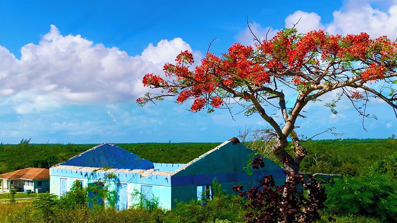 Photo of Others in George Town