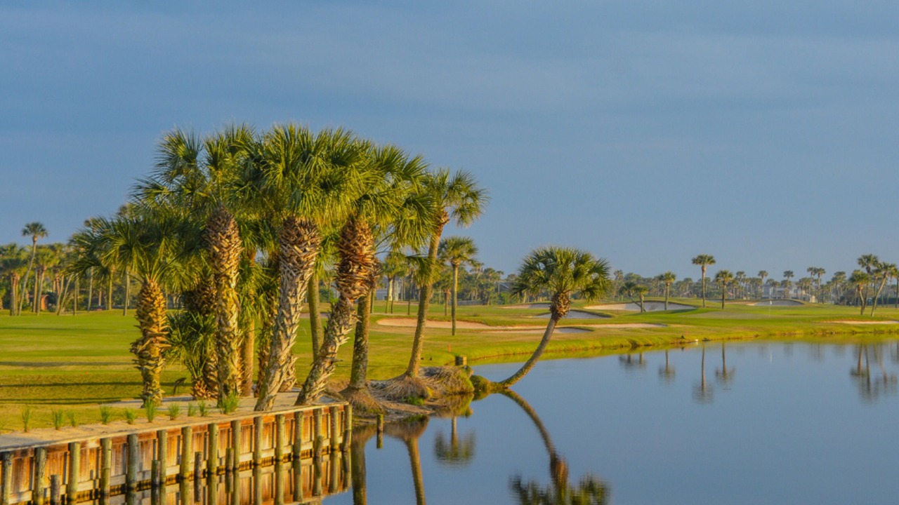 Photo of Others in South Ponte Vedra Beach
