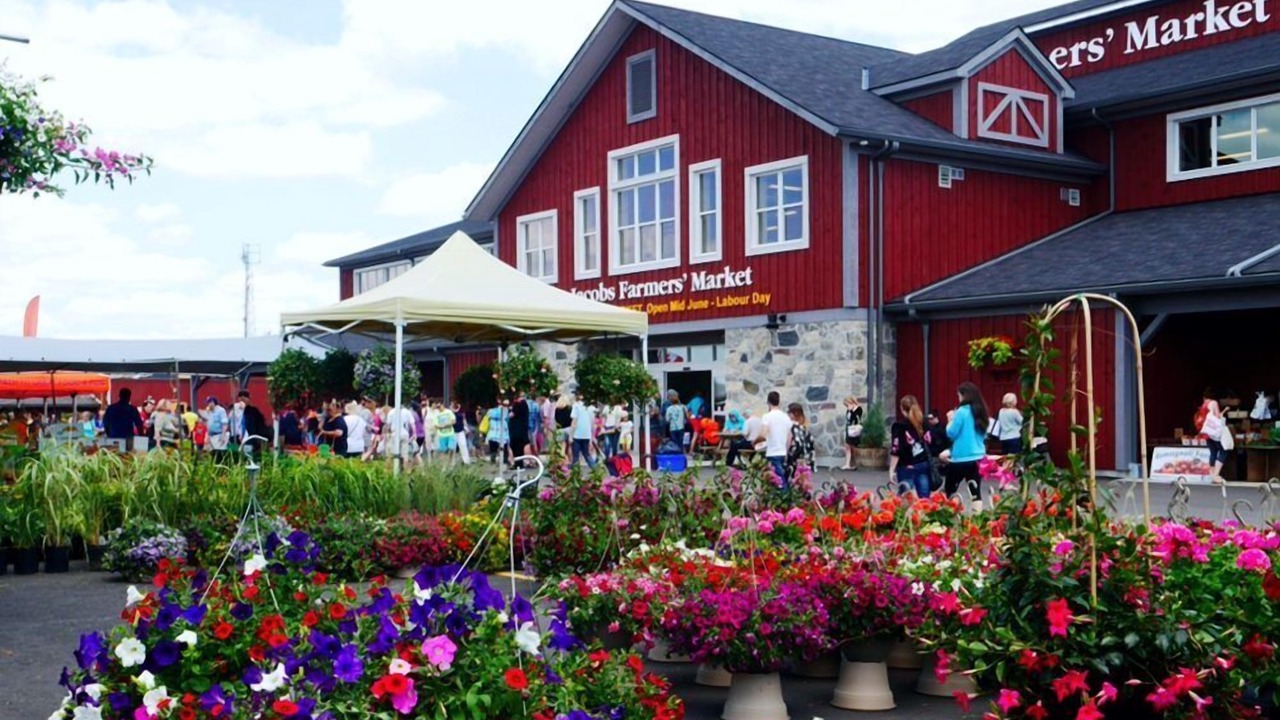 Photo of Others in Township of Woolwich