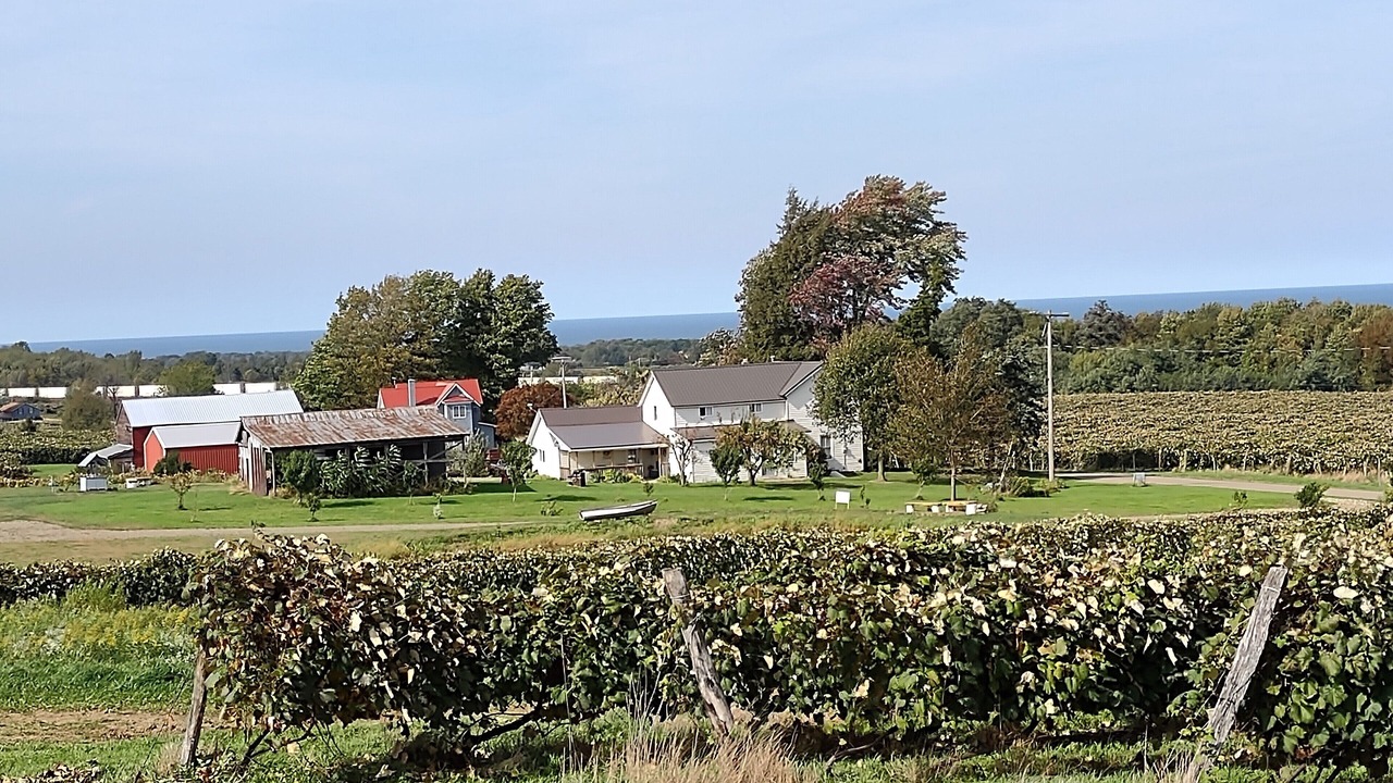 Photo of Outdoor in Ripley