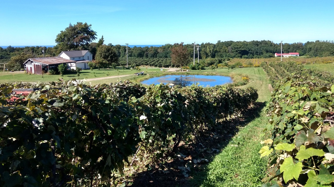 Photo of Outdoor in Ripley