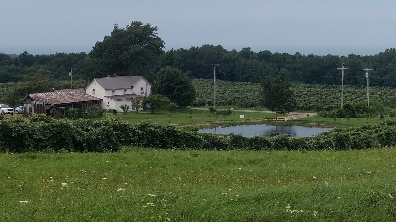Photo of Outdoor in Ripley