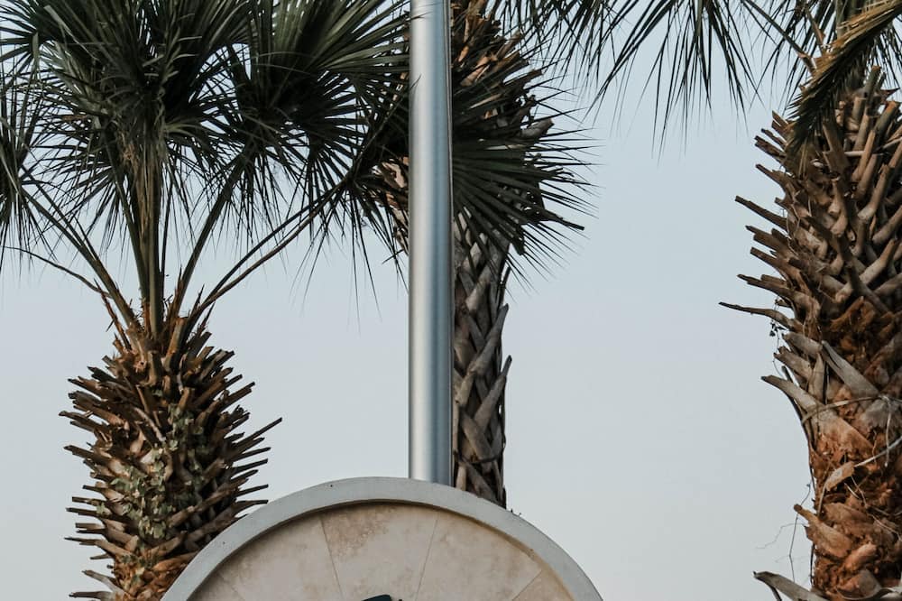 Photo of Others in Orange Beach