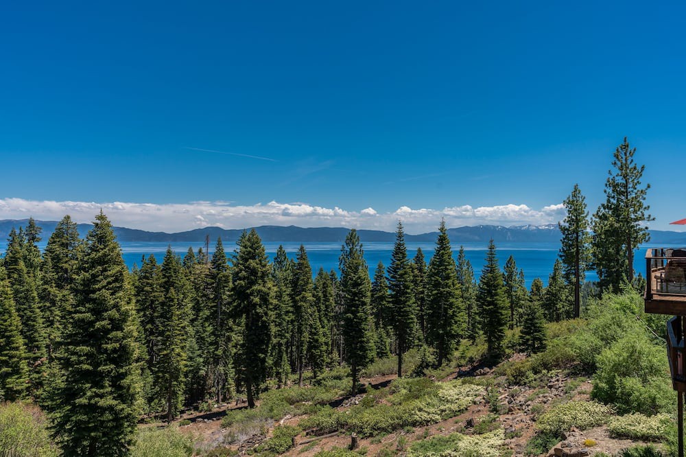 Photo of Outdoor in Talmont