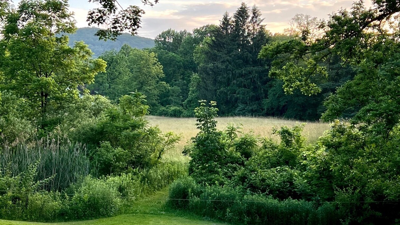 Photo of Outdoor in Marble Dale