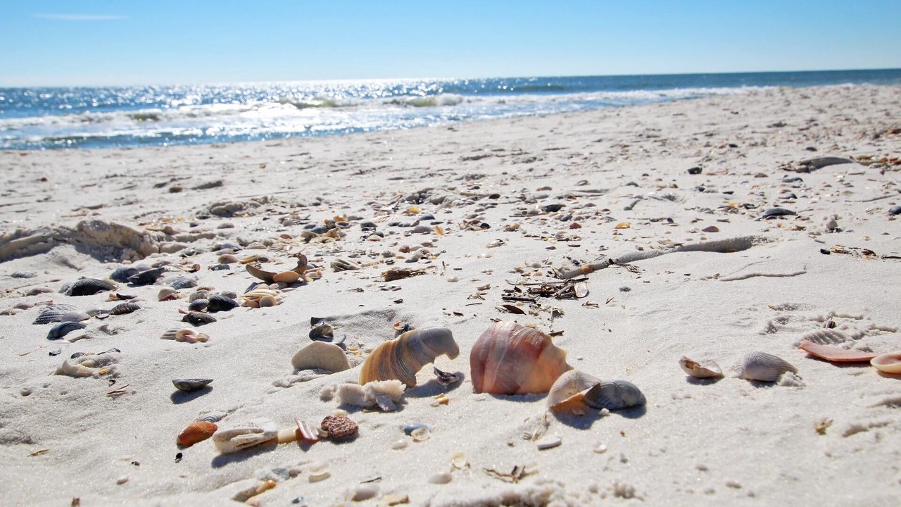 Photo of Others in Orange Beach East