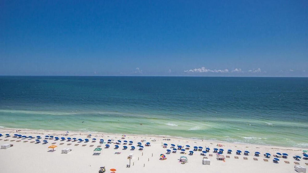 Photo of Others in Orange Beach East