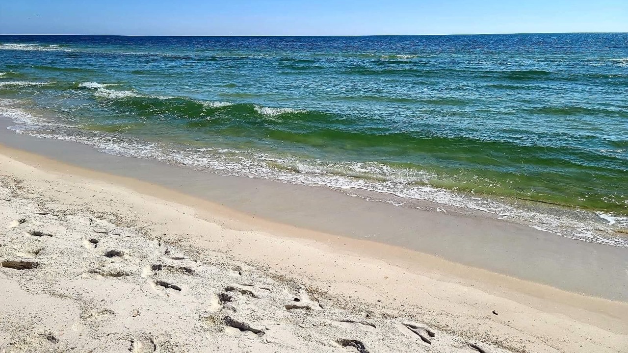 Photo of Others in Orange Beach East