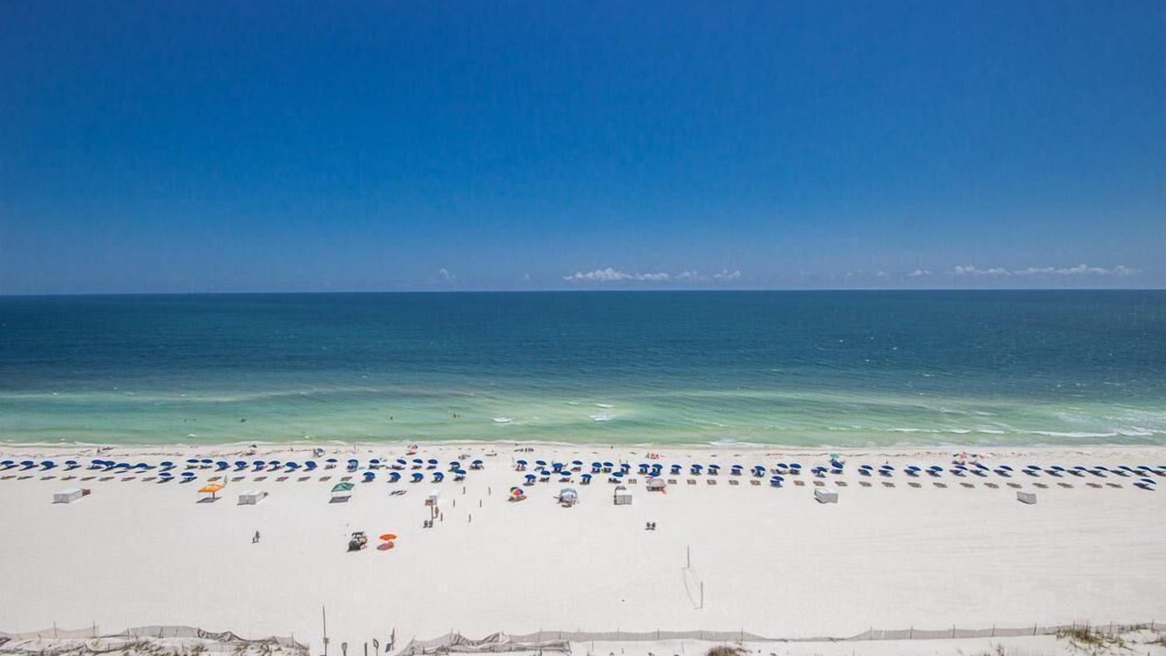 Photo of Others in Orange Beach East