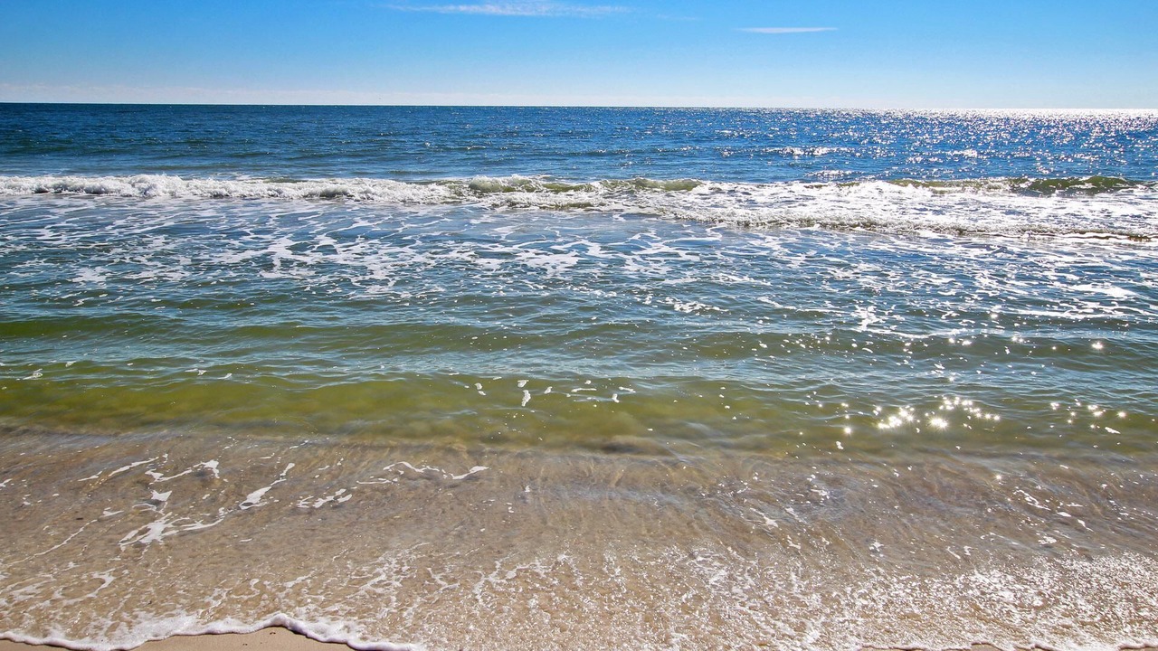 Photo of Others in Orange Beach East