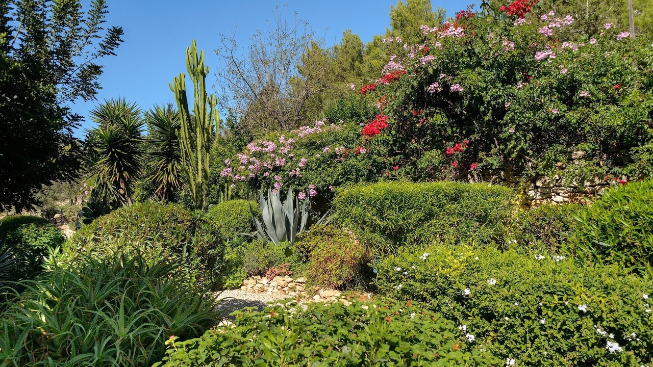 Photo of Outdoor in Sant Carles de Peralta