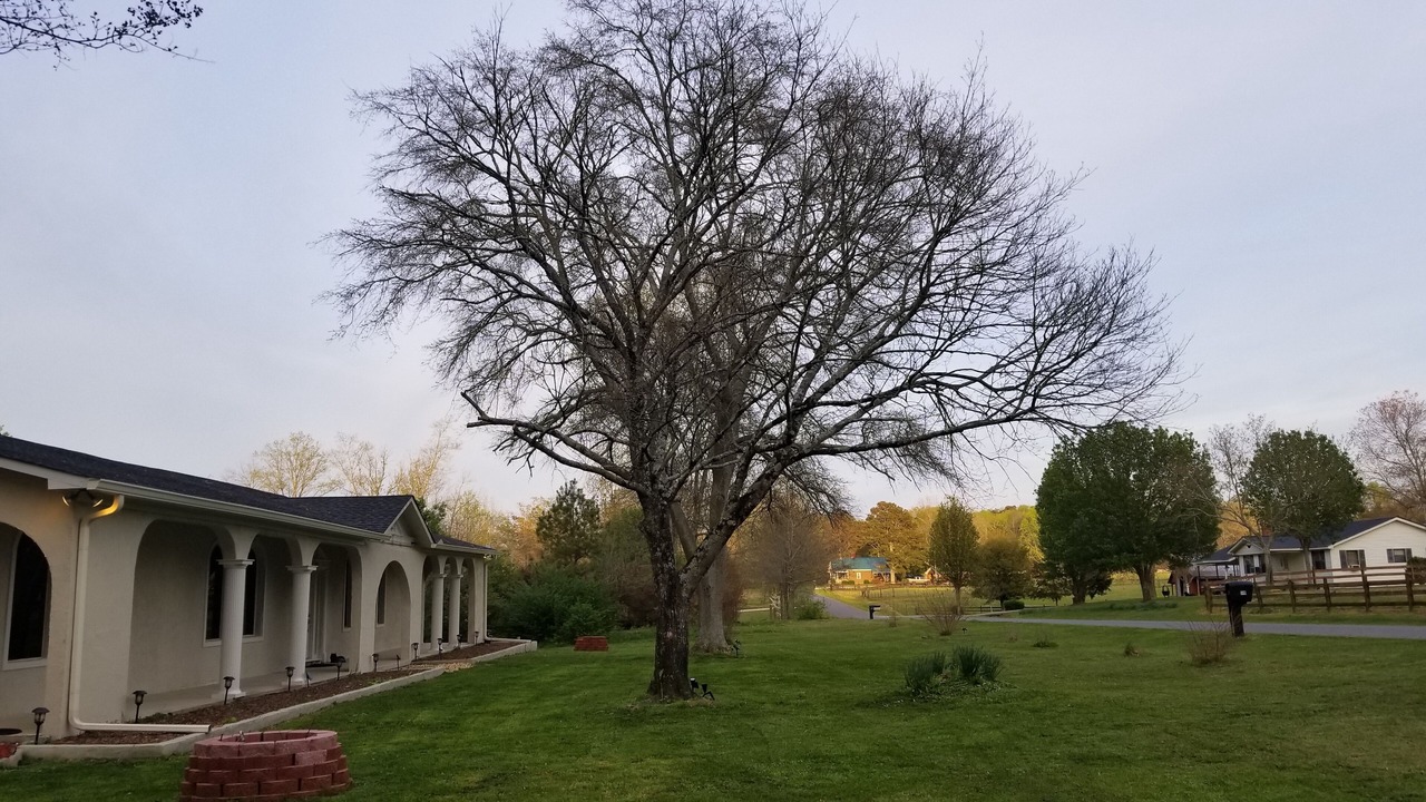 Photo of Outdoor in Boaz