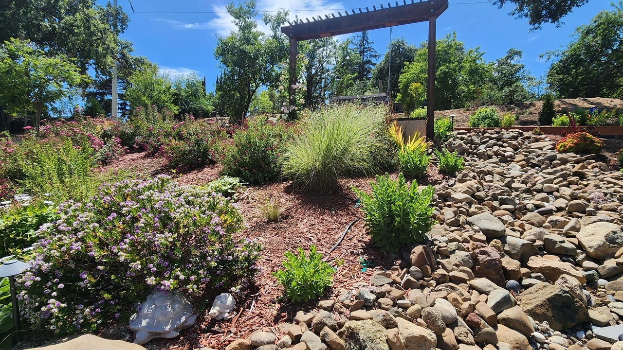 Photo of Outdoor in Almaden