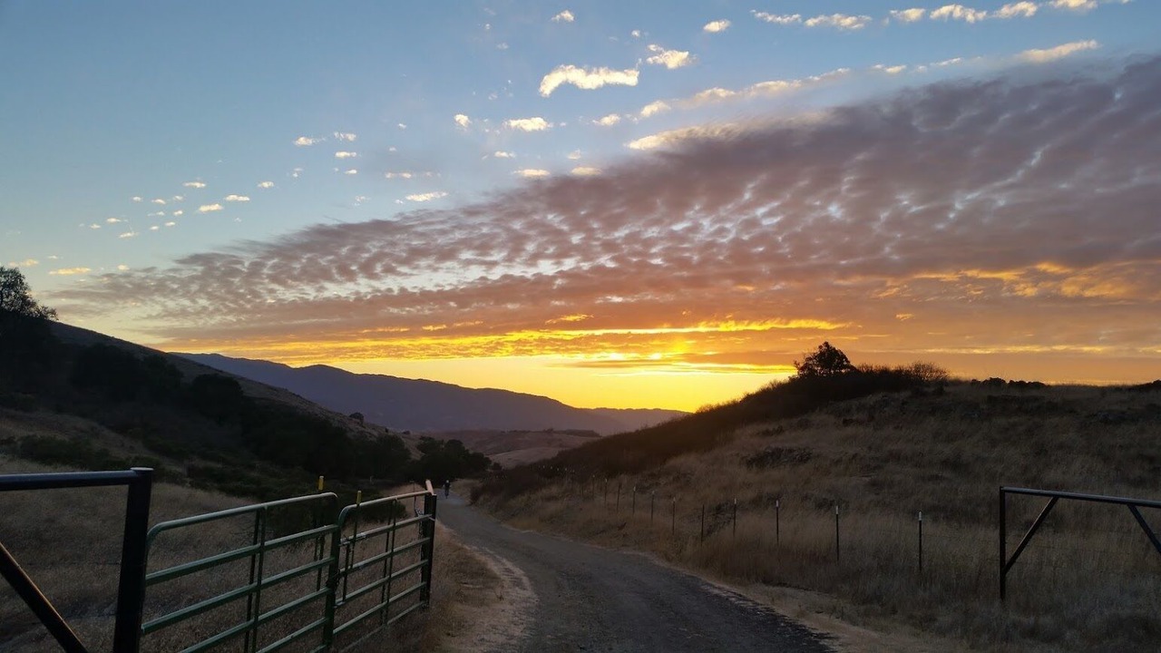 Photo of Others in Almaden