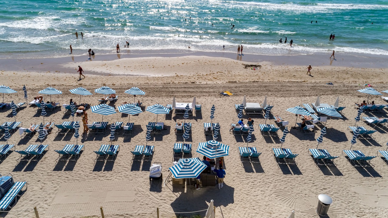 Photo of Others in Hallandale Beach