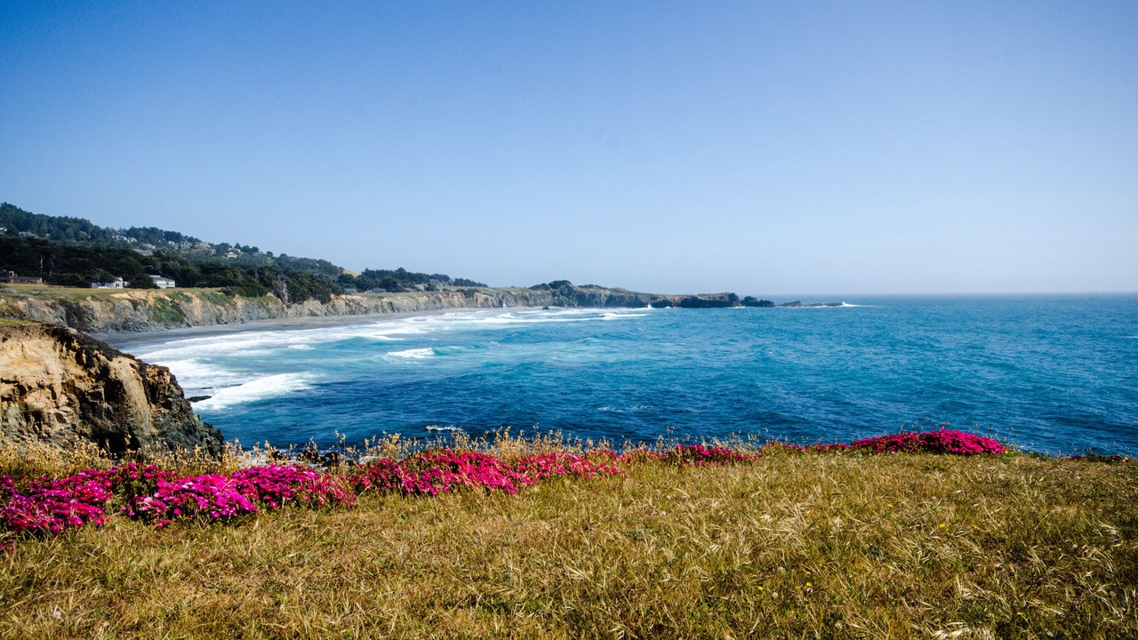 Photo of Others in Mendocino