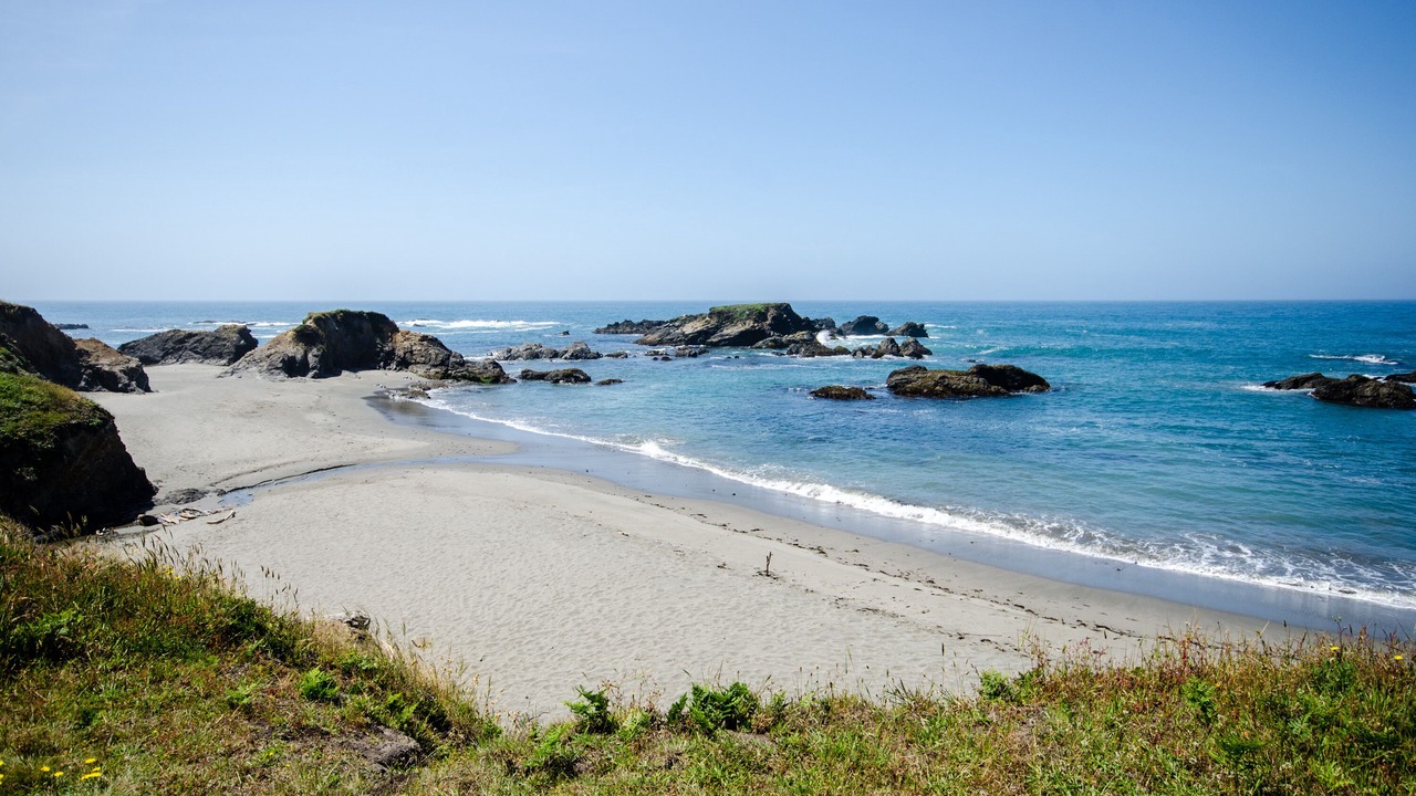 Photo of Others in Mendocino