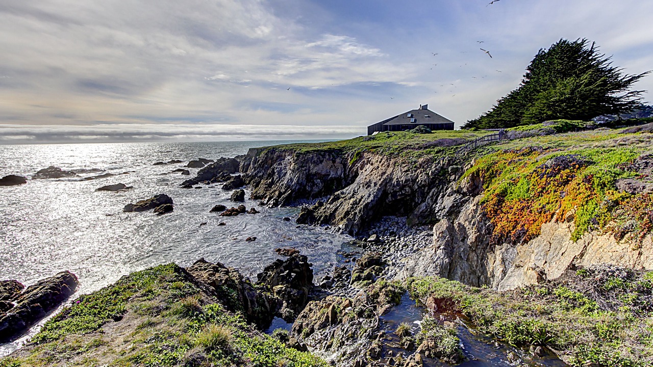 Photo of Others in Mendocino