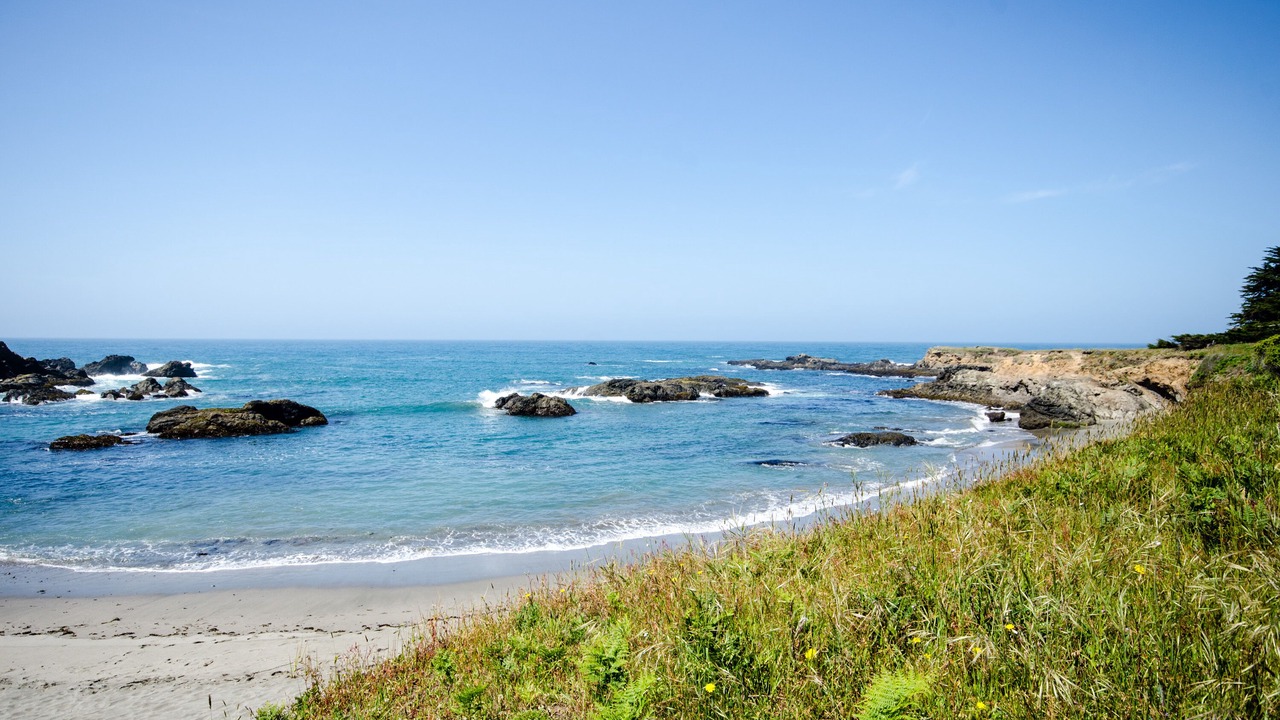 Photo of Others in Mendocino