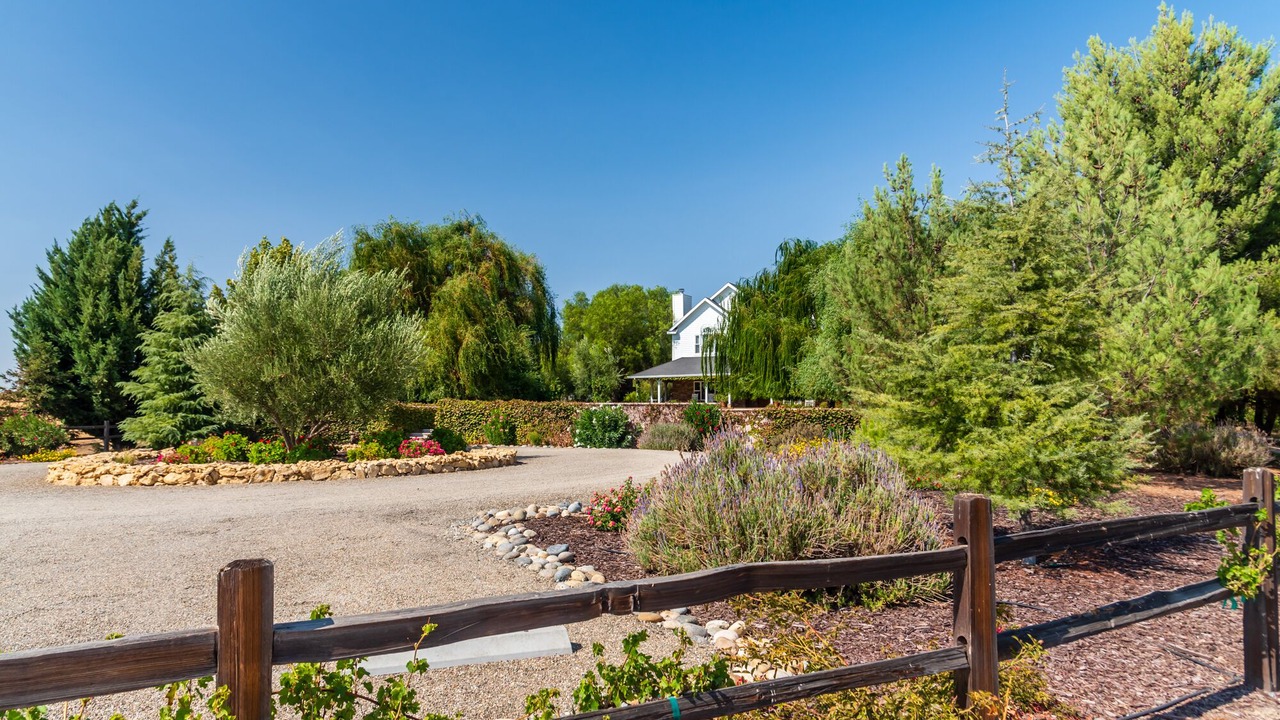 Photo of Outdoor in San Miguel