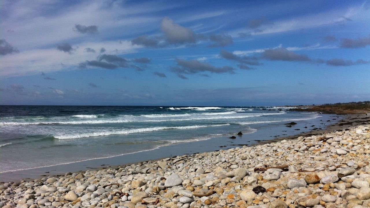 Photo of Others in Pacific Grove