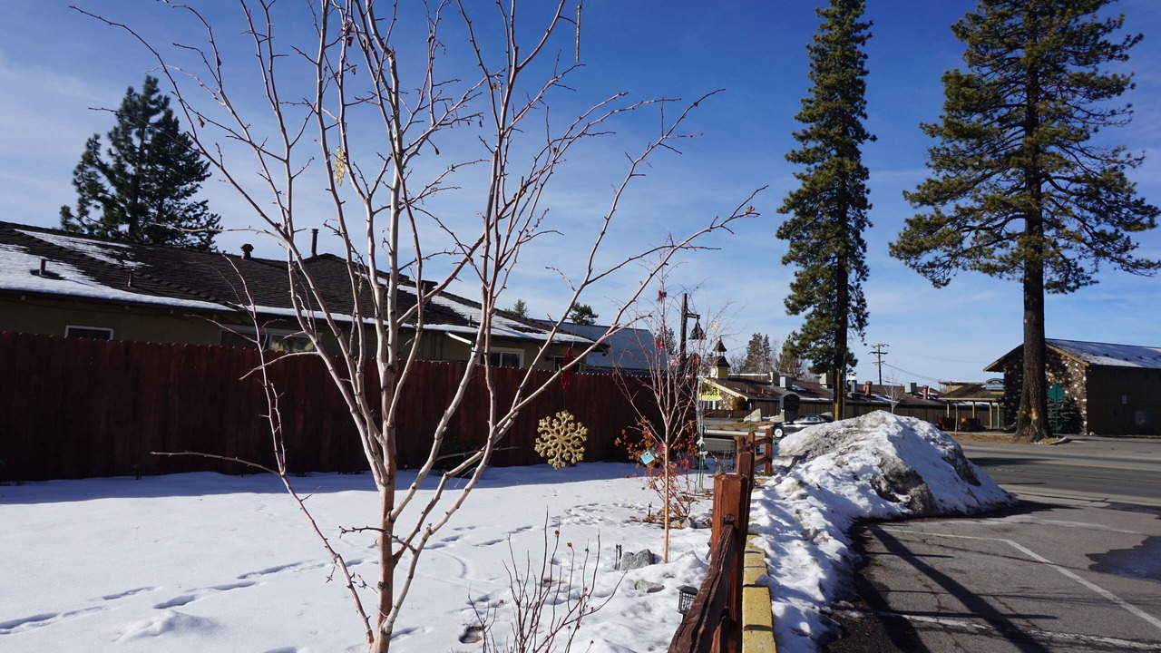 Photo of Outdoor in South Lake Tahoe