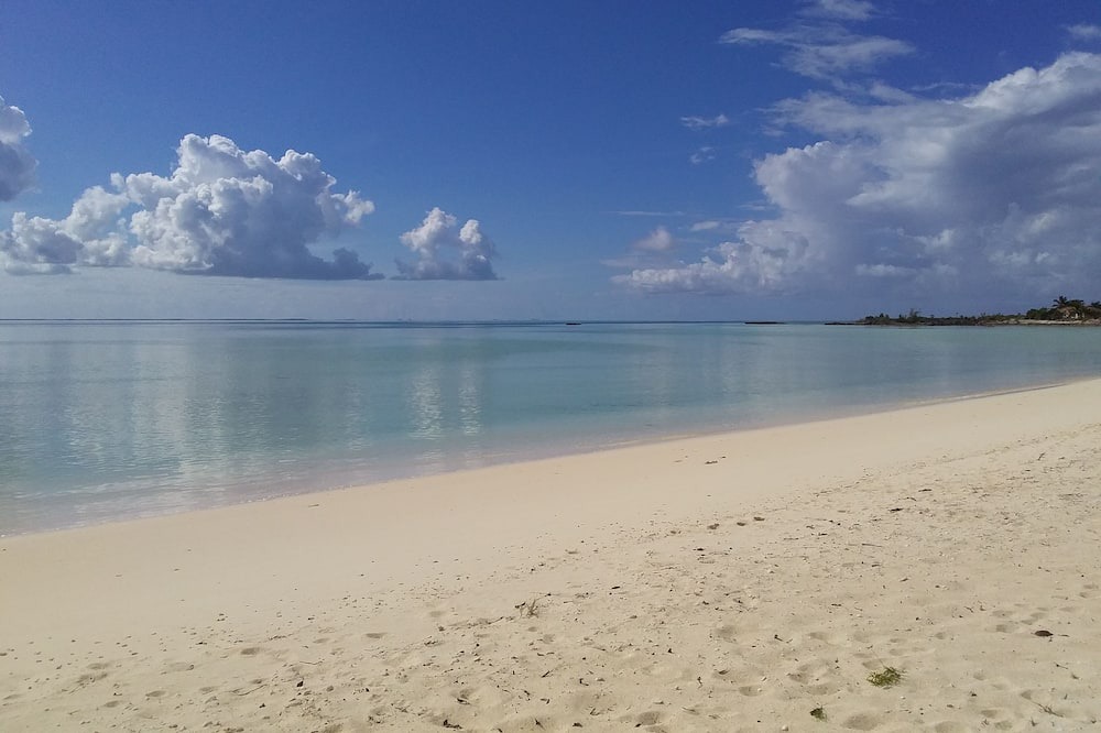 Photo of Outdoor in New Bight