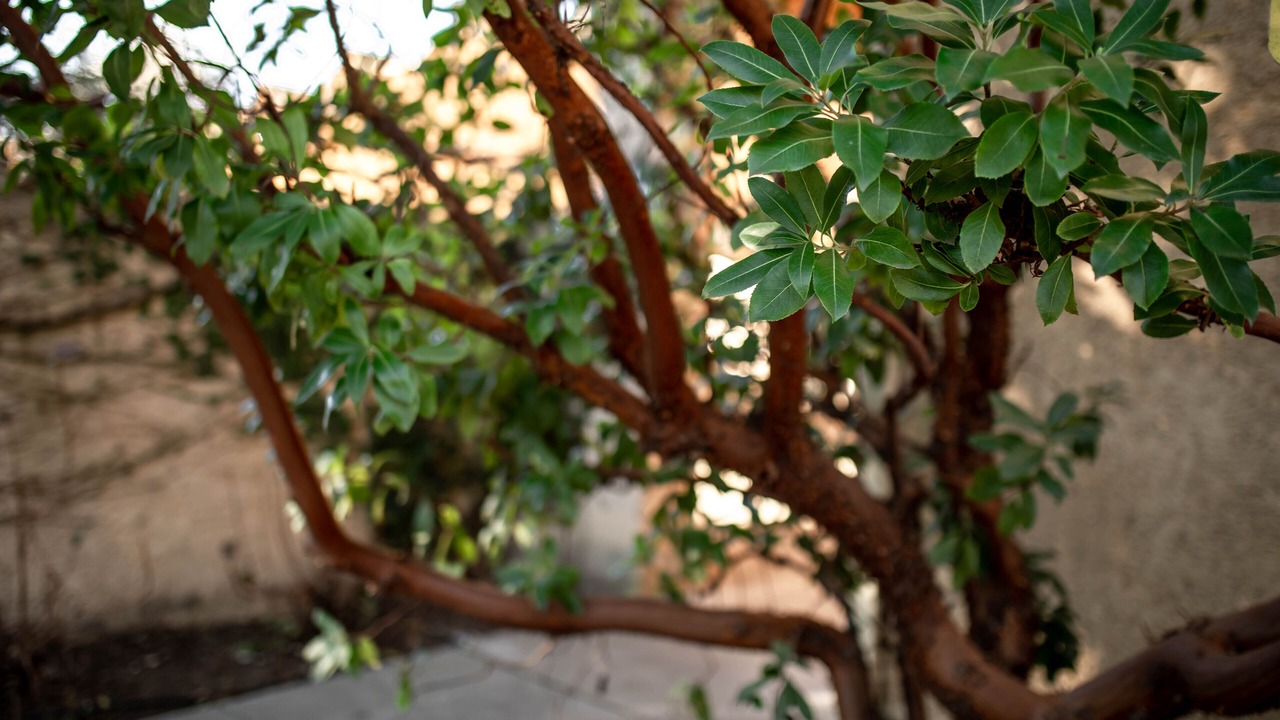 Photo of Outdoor in Sonoma