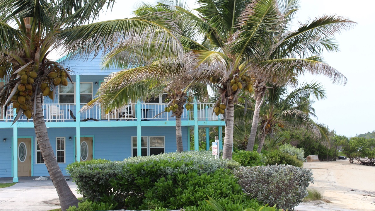 Photo of Outdoor in George Town