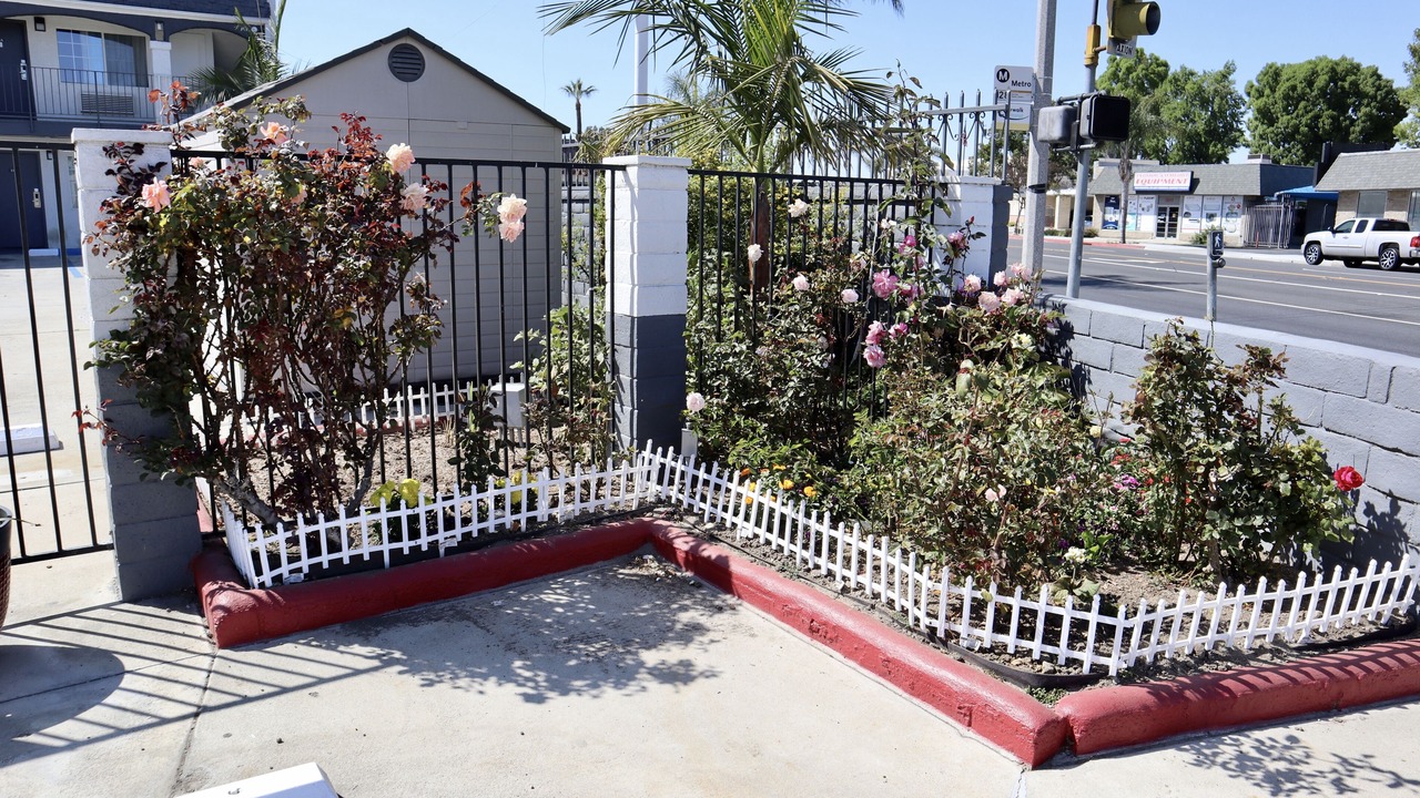Photo of Outdoor in Bellflower