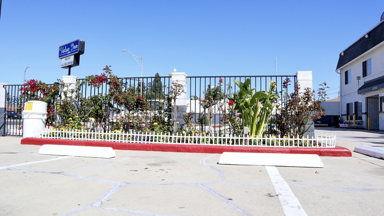 Photo of Outdoor in Bellflower