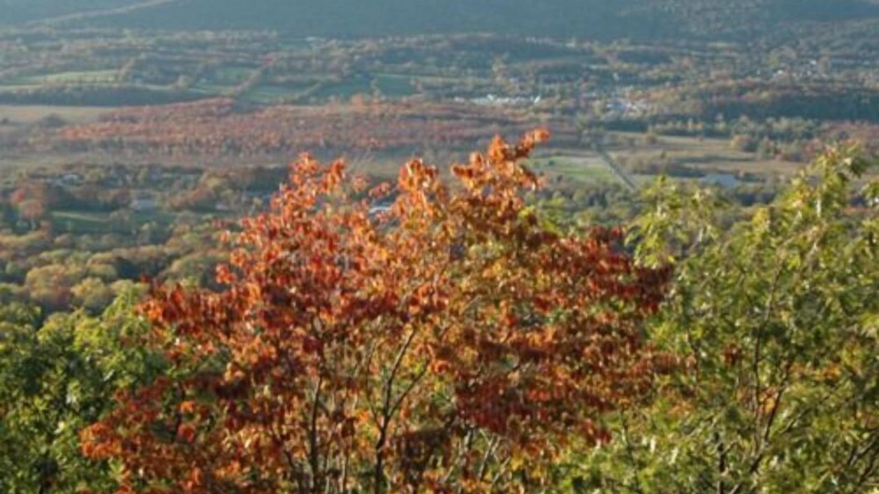 Photo of Others in Vernon