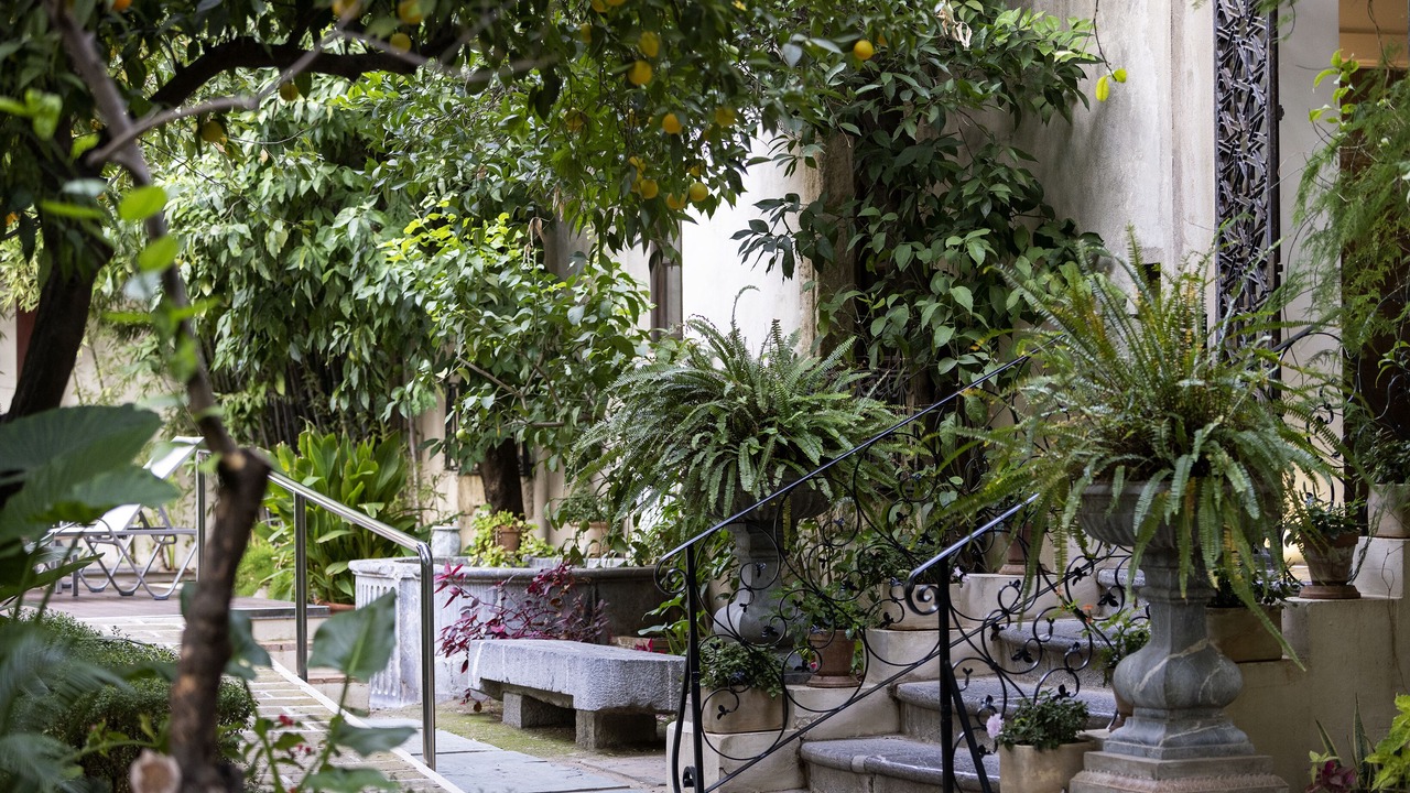 Photo of Outdoor in San Miguel-Capuchinos