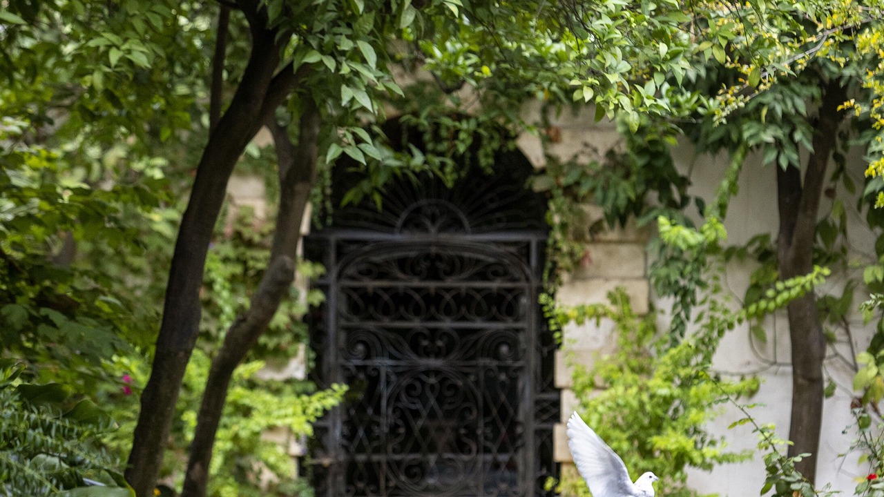Photo of Outdoor in San Miguel-Capuchinos