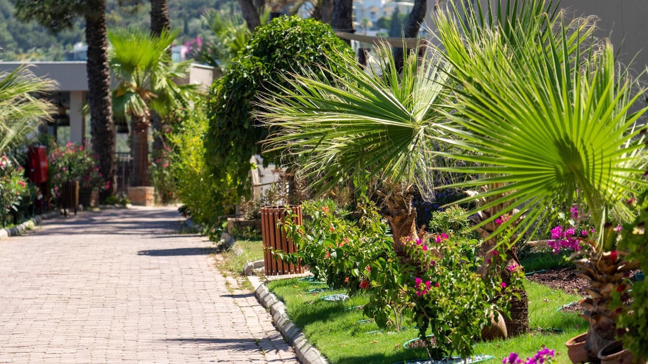 Photo of Others in Zeytinlikahve