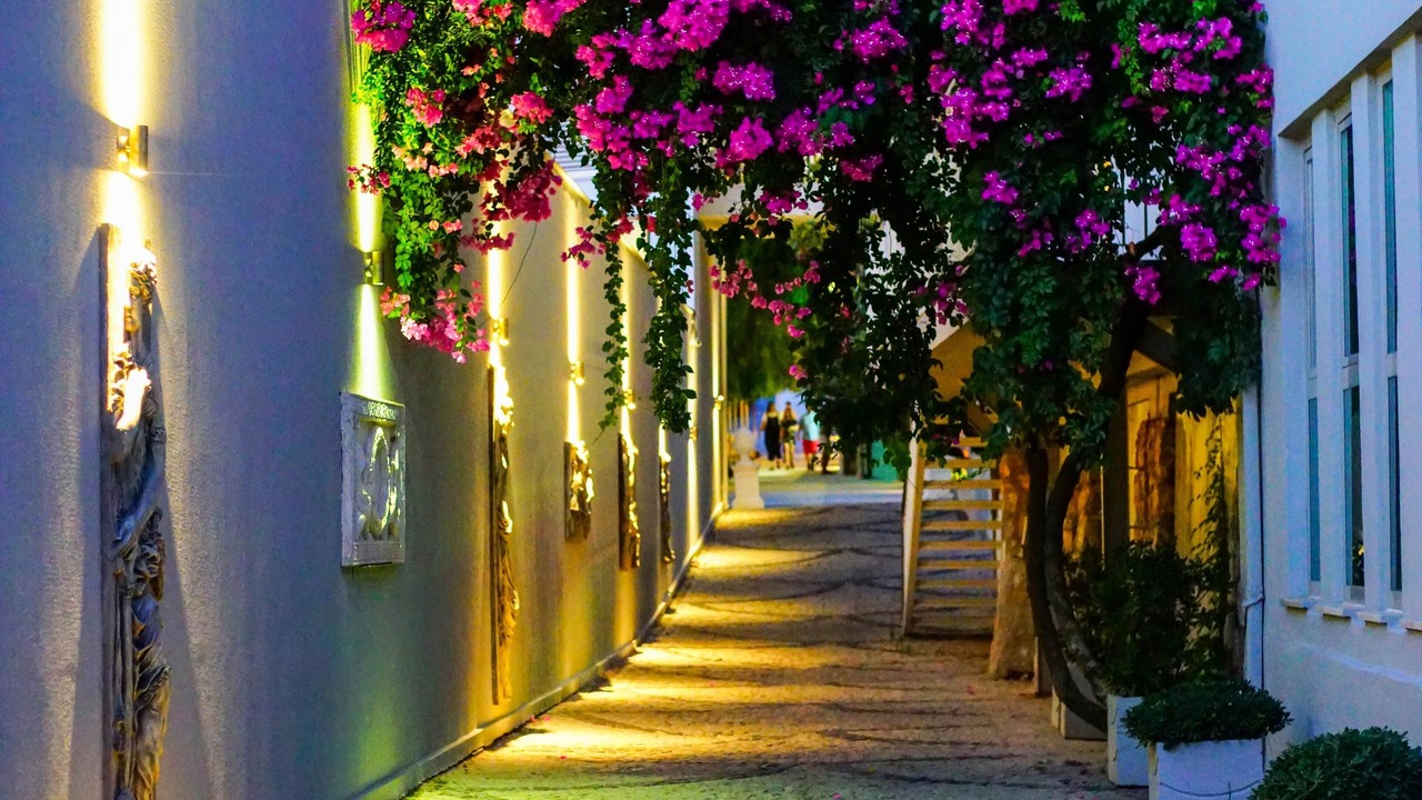 Photo of Outdoor in Zeytinlikahve
