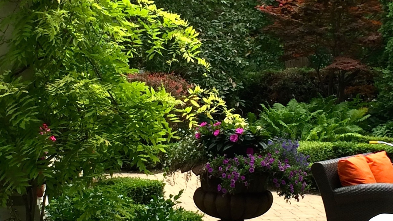 Photo of Outdoor in Guelph