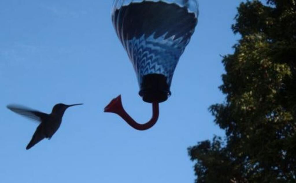 Photo of Others in Blooming Grove