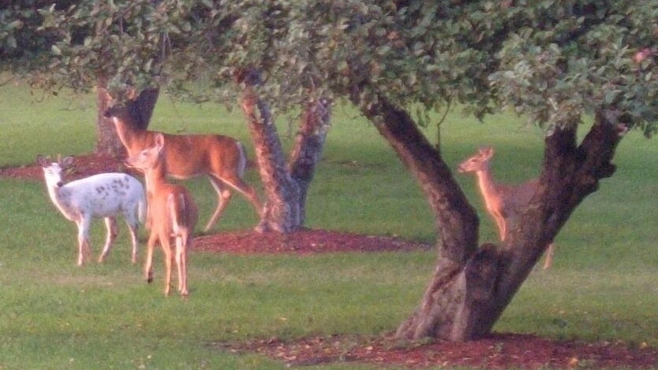 Photo of Outdoor in Blooming Grove