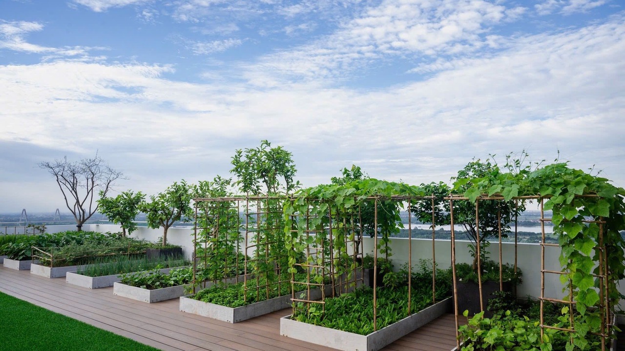 Photo of Outdoor in Quang An